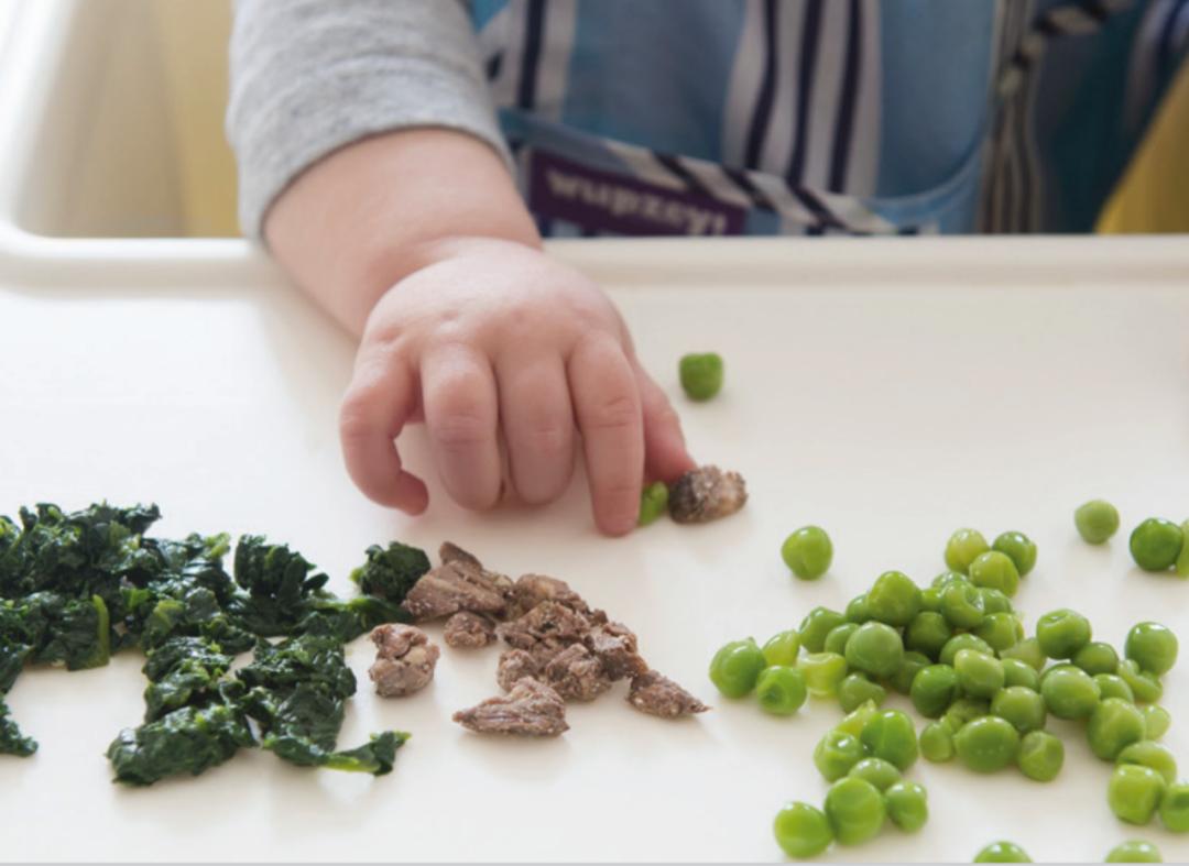 最新美国辅食指南,中国膳食指南2019版辅食