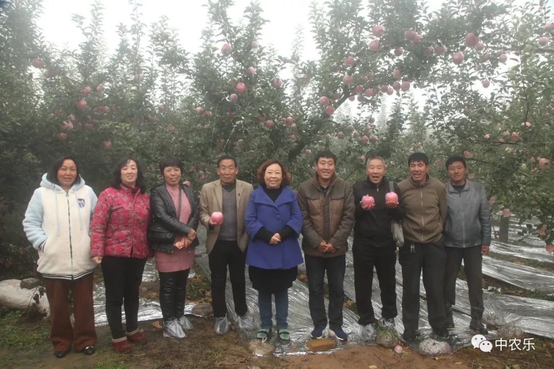 翼城工作站，树好、形好、果更好