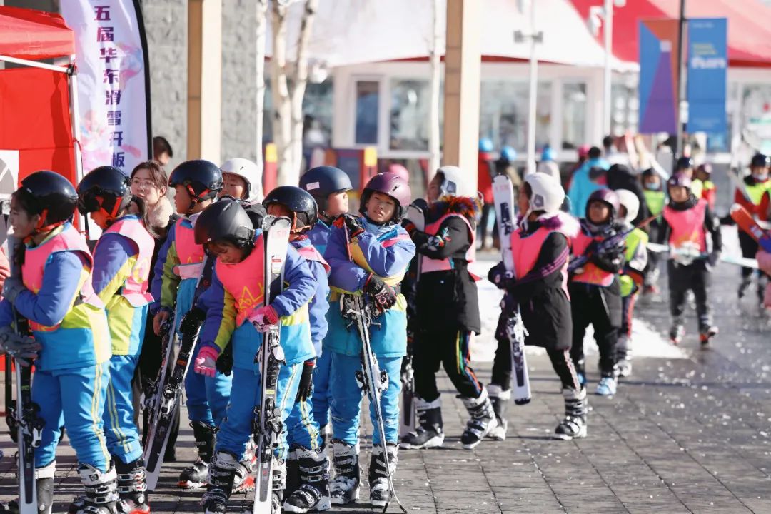 南北差异旅游,南北差异南方女人