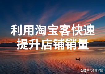 淘宝客卖家怎么提高销量视频,如何利用淘宝客提高网店销量