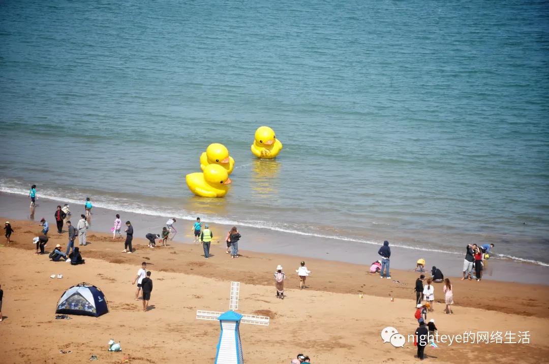 枸杞岛2天一夜旅游攻略,8月枸杞岛攻略三日游