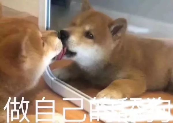 性不可耻|学生仔那些羞羞的小困惑该怎么办？