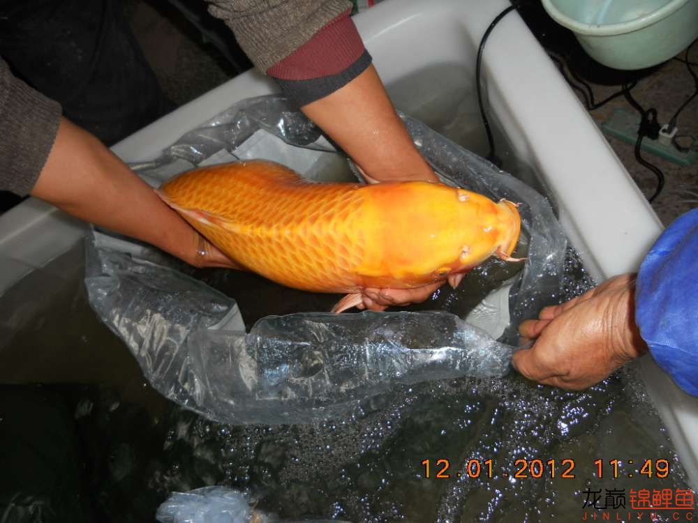 开渔场赚钱吗,开渔场需要多少资金