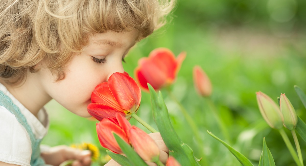 客厅有花香,客厅里有花
