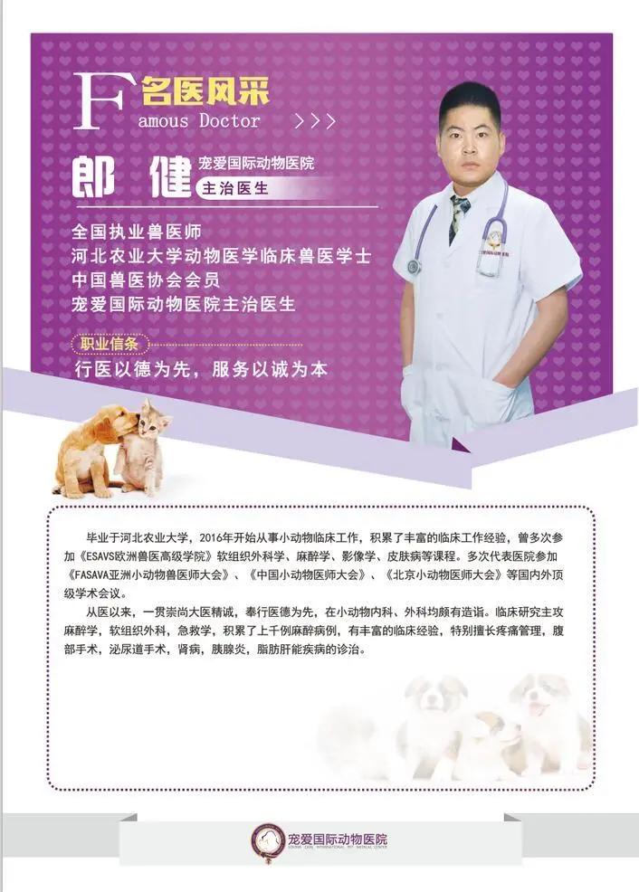 狗狗身上有肿块起脓是怎么回事,如果狗狗身上有虫子怎么办