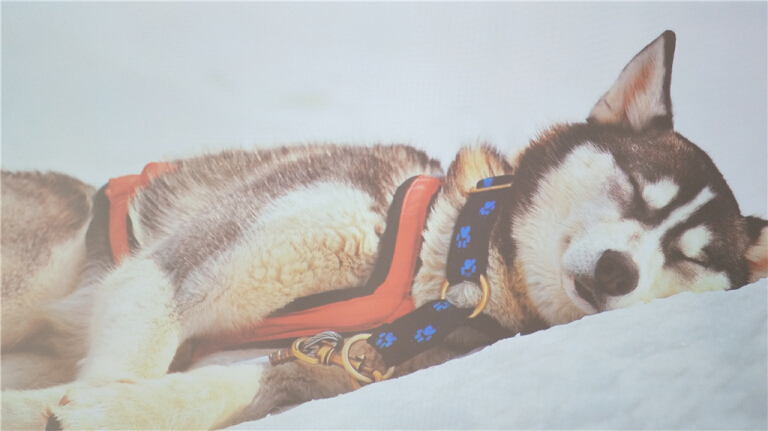 爱普生tw650对比tw5700tx,爱普生投影仪ch-tw650怎么调大小