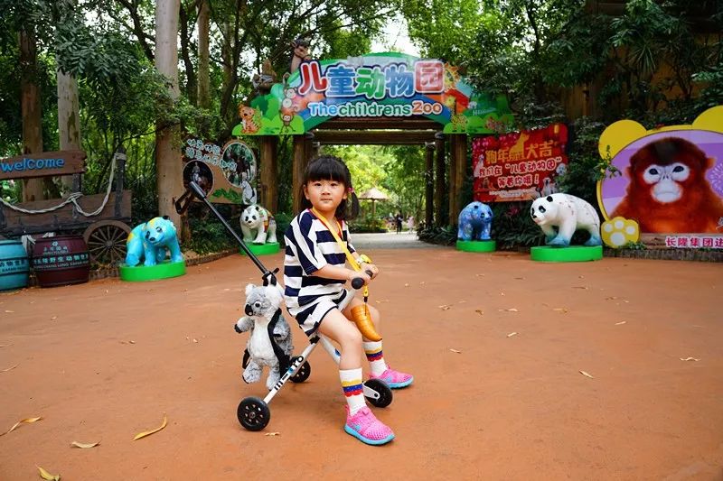 广州旅游攻略长隆动物世界,亲子游广州长隆动物园