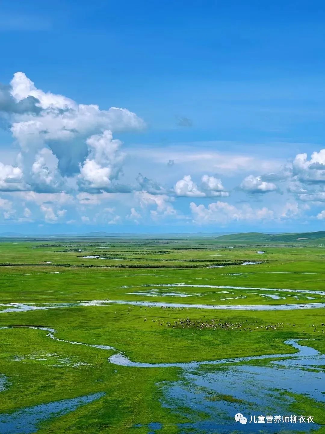 暑假带孩子内蒙古旅游攻略,暑期内蒙古亲子游鄂尔多斯