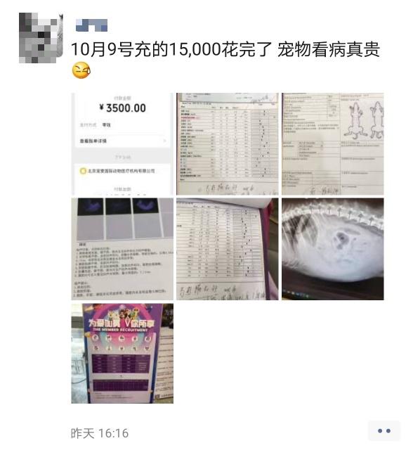 瀹犵墿缁忔祹鐑疆鍚庣殑绁炲吔,鍝簺瀹犵墿鍊煎緱姘噾