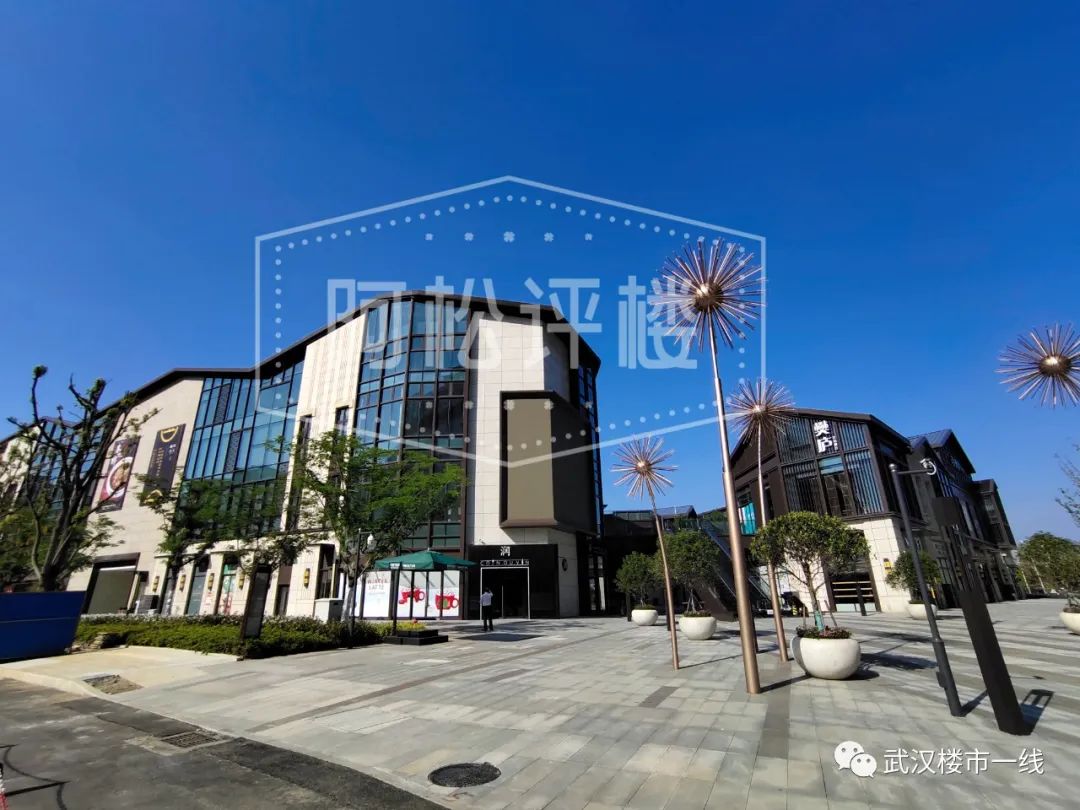 开挂了！比肩世界的爆款区域利好多到数不清！一般人已高攀不起