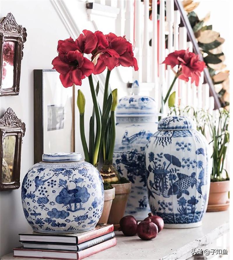 特立独行却不反感的星座女,天生傲骨不受别人控制的三大星座