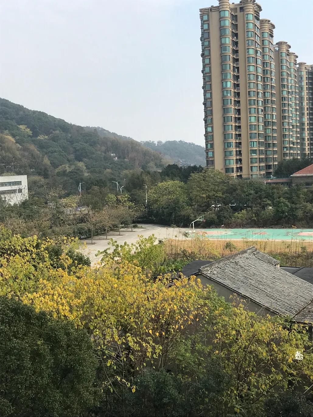 我从简单的生活中体会到人文台州的魅力