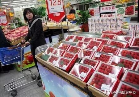 水果的品质辨别,鉴别水果好坏的技巧表格