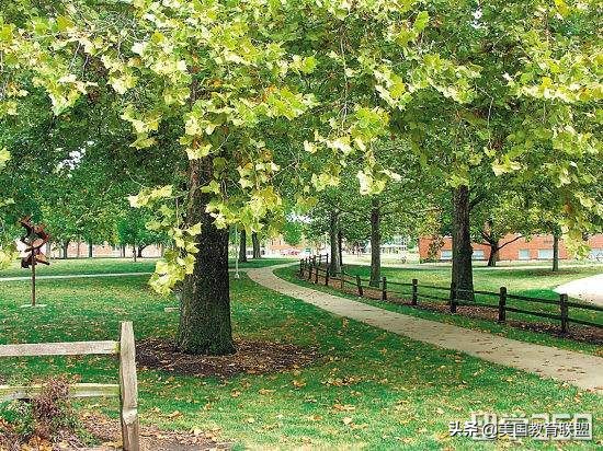 大二学生怎样申请到美国留学,大二留学怎么申请