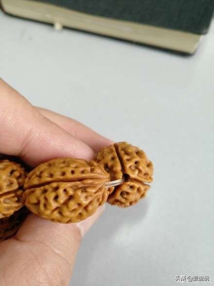 栗子，也能玩？这算啥，看看我玩的