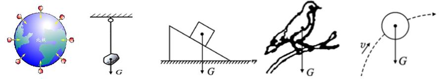 6.3《重力》的教学,6.3重力练习