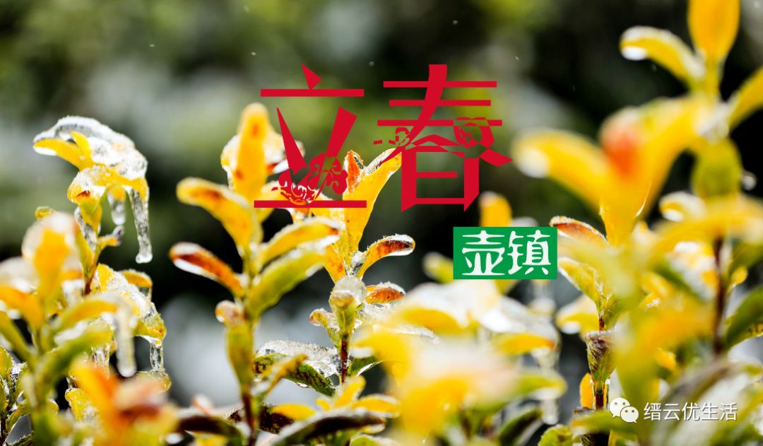 今日立春依旧寒冷入骨,今日立春期待美好图片