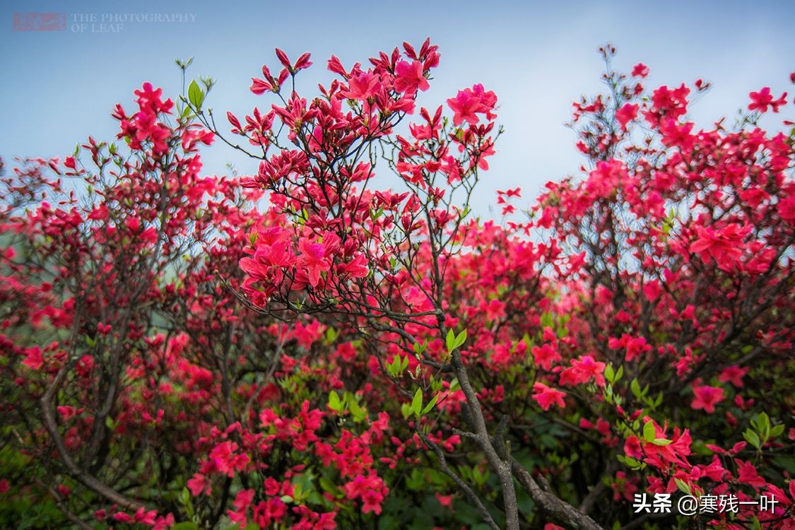 五一杭州旅游住宿最佳方案,五一旅游杭州出发3天最佳去处
