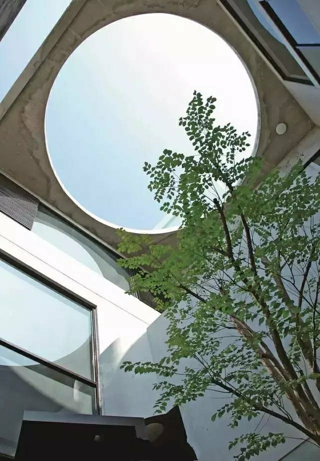 有禅意的天井,景观中的天井