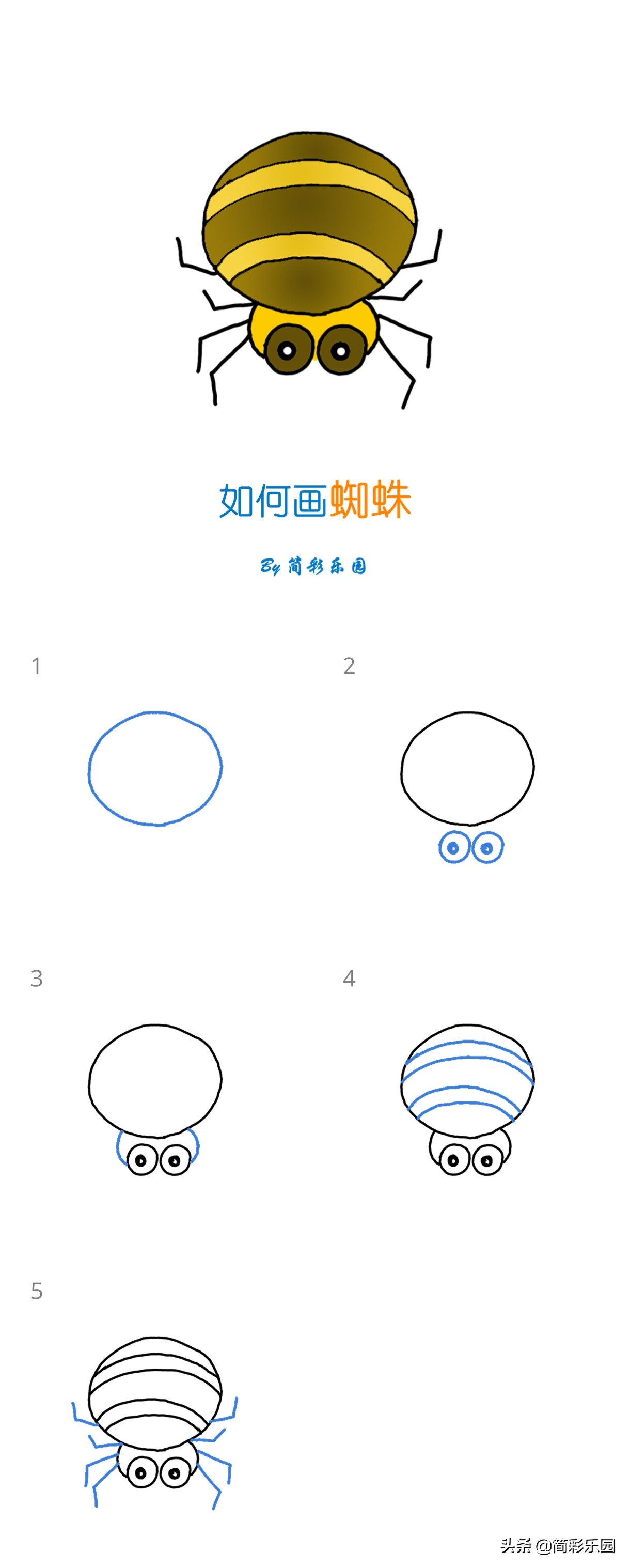 吓人的蜘蛛简笔画,蜘蛛简笔画幼儿园