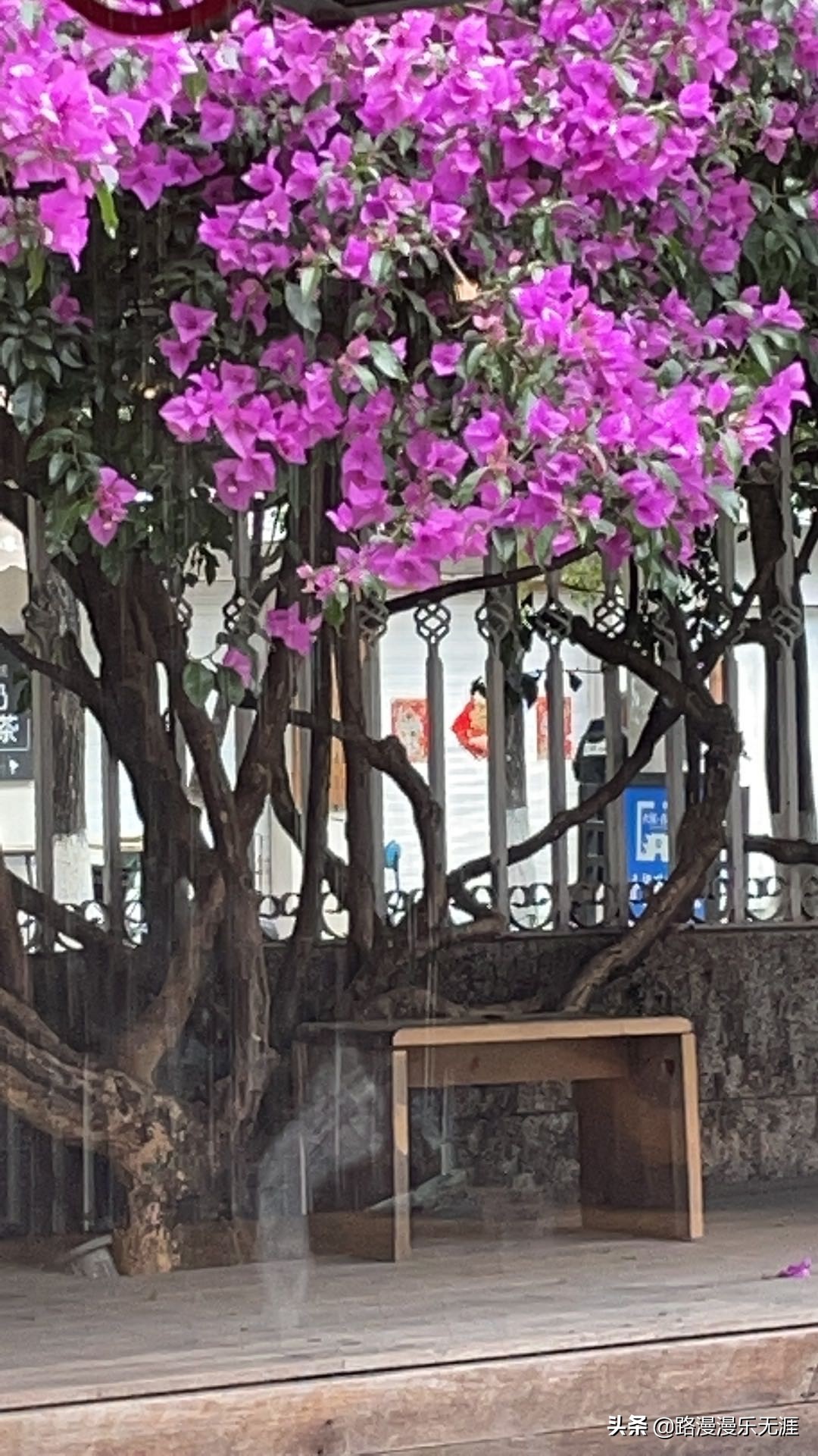 大理洱海8个打卡地,大理洱海畔旅游攻略