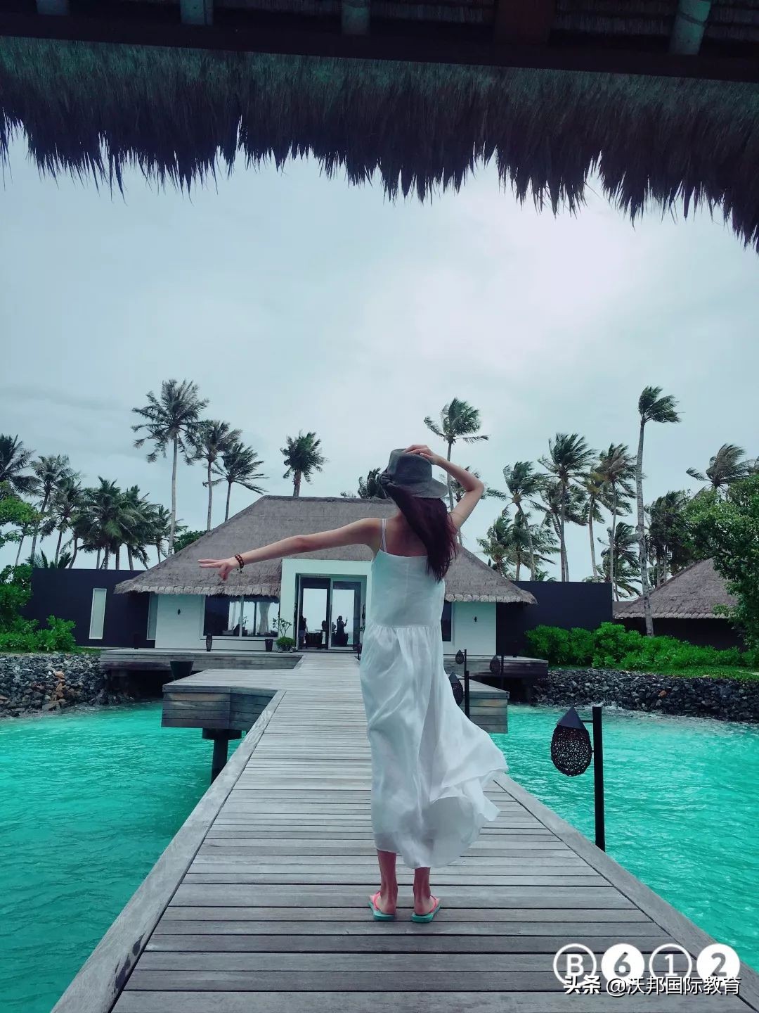 沃邦高分学员视频,沃邦雅思