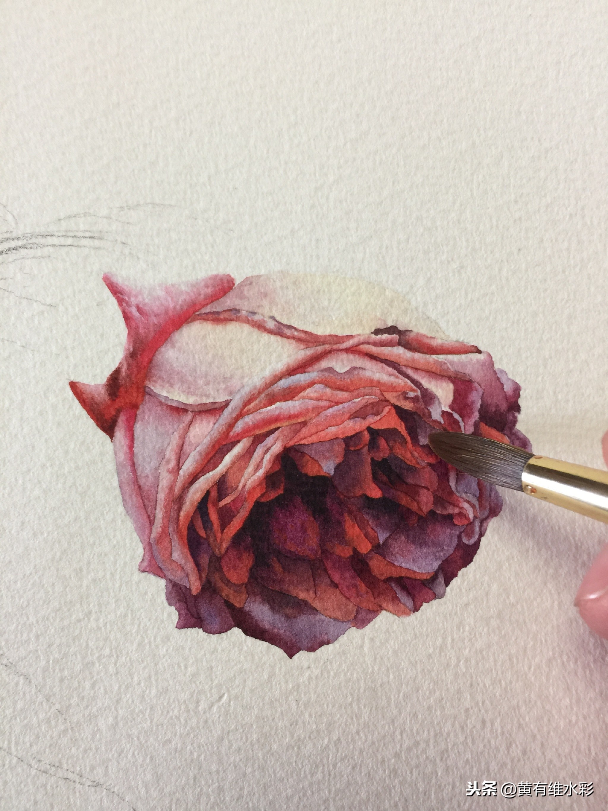 水彩教程简单好看手绘图片,水彩教程画花