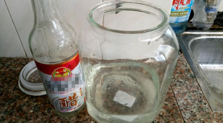 养花旺季春天，作为园艺新人，该怎么正确使用白醋、大蒜？