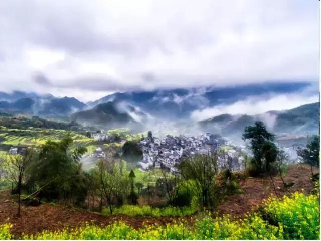 大自然唯美黄山风景摄影,打卡歙县蜈蚣岭高山茶梯田