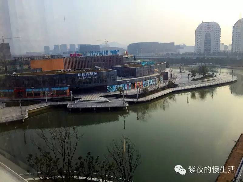 苏州带宠物去的古镇,苏州小众宠物乐园推荐