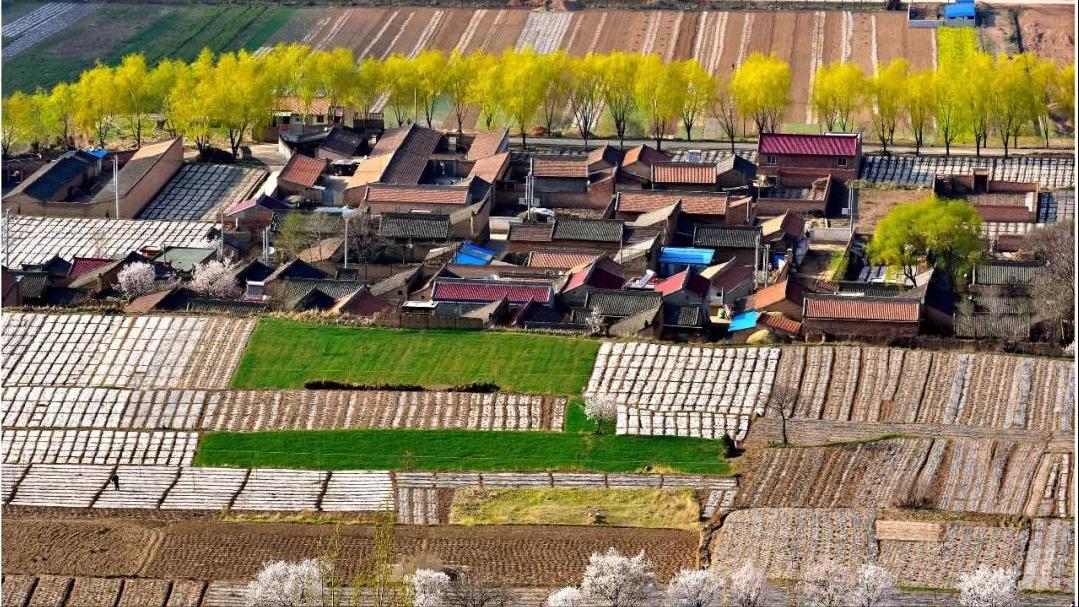 陇上旱码头平凉,旱码头在什么地方