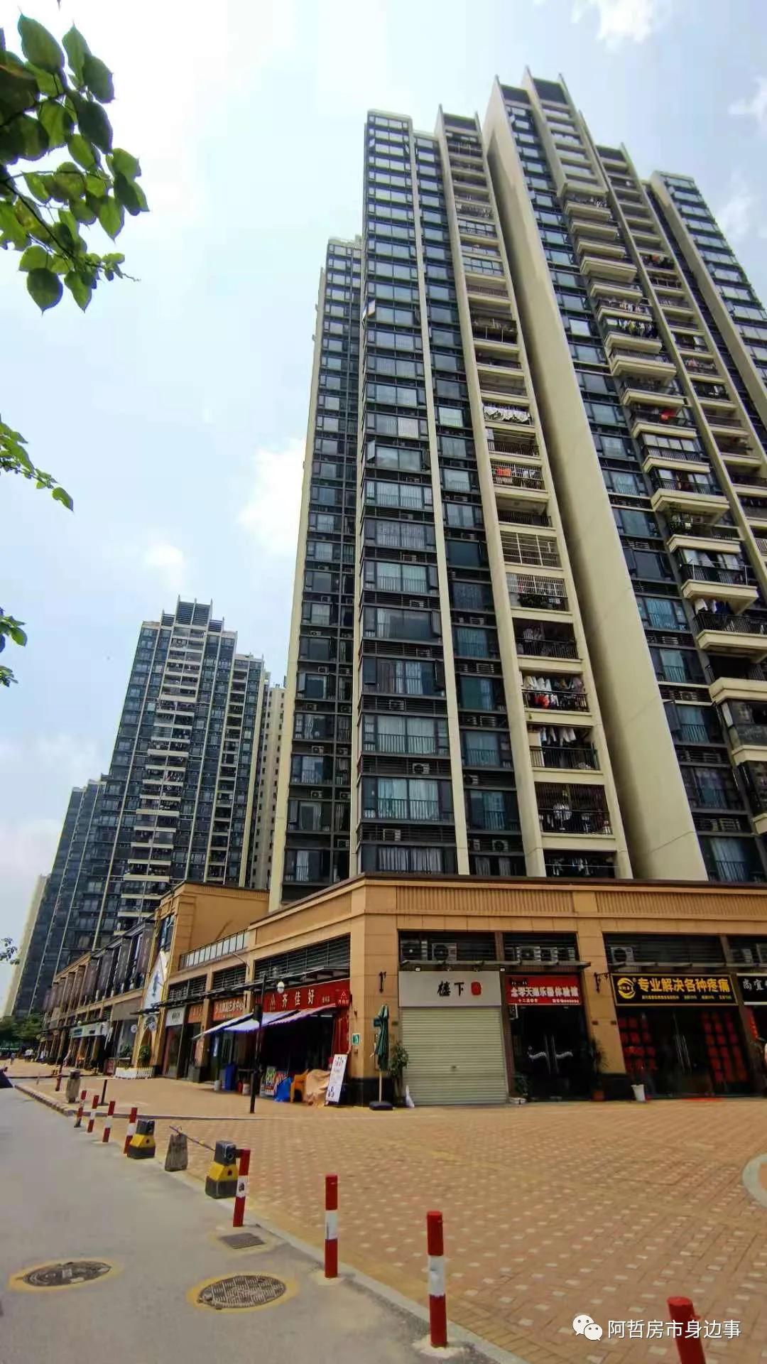 坦尾花语水岸,坦尾地铁站附近的楼盘