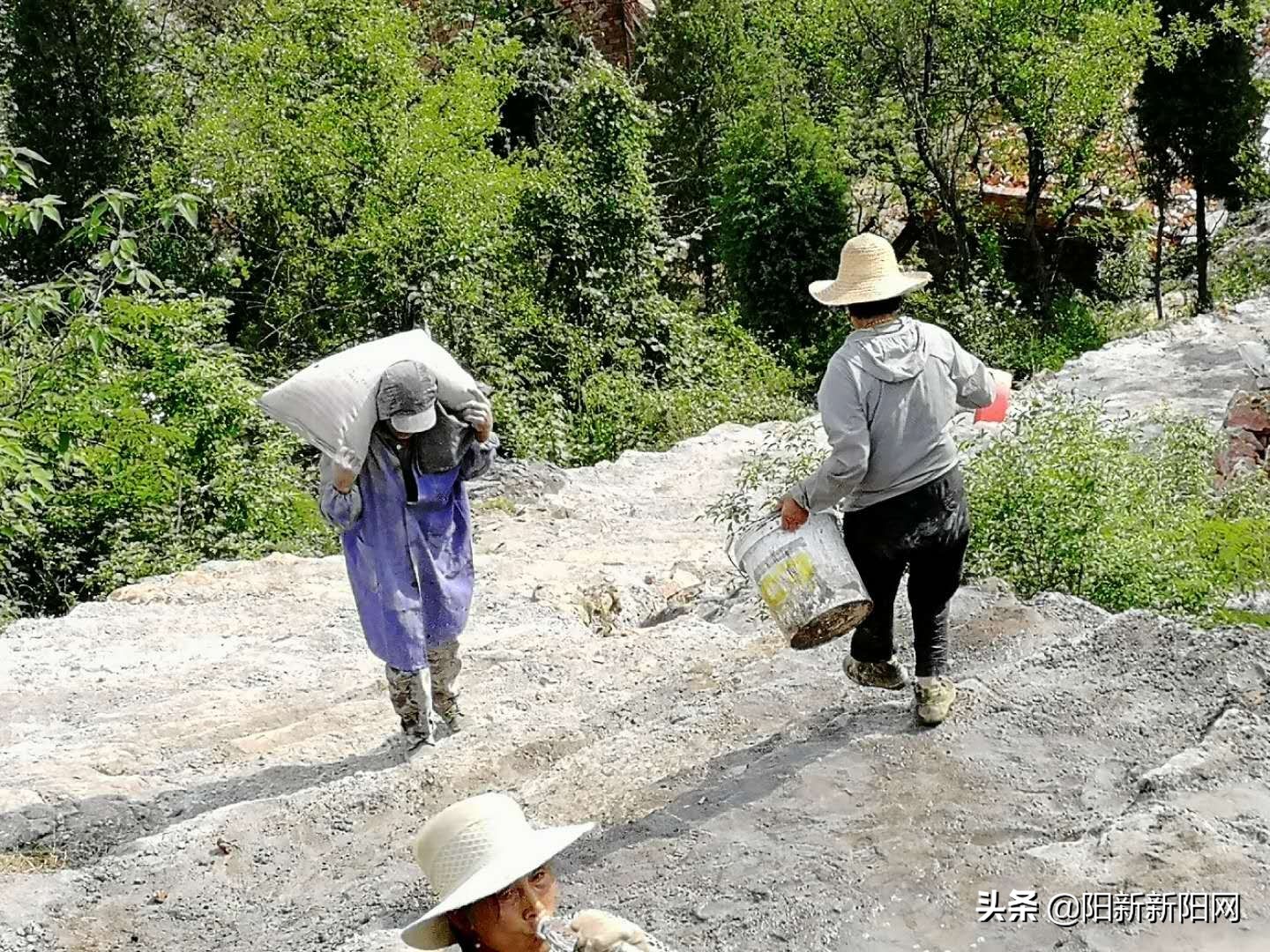 阳新县黄颡口镇发展,黄颡口镇农村建设规划