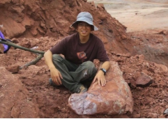 关于恐龙的儿童科普书籍,为什么孩子会喜欢看有关恐龙的书