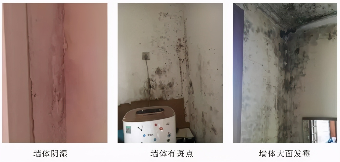 窗户墙壁上的霉点怎么去除,房间墙体霉斑怎么解决