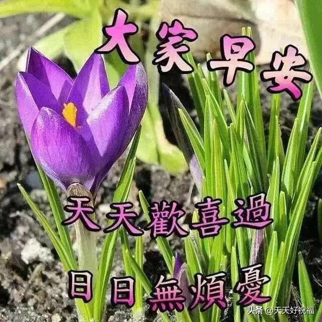 问候早安的祝福语句子和图片,温馨每日早安问候祝福语大全