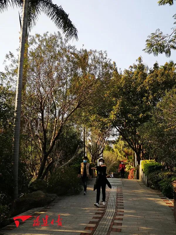 福建春天花海旅游攻略,福建春季游玩好去处推荐