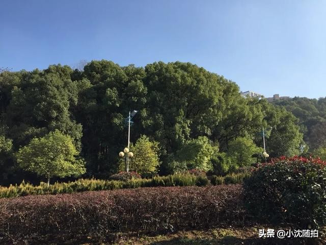 湖北理工学院什么专业比较好,湖北理工学院的环境工程专业怎样