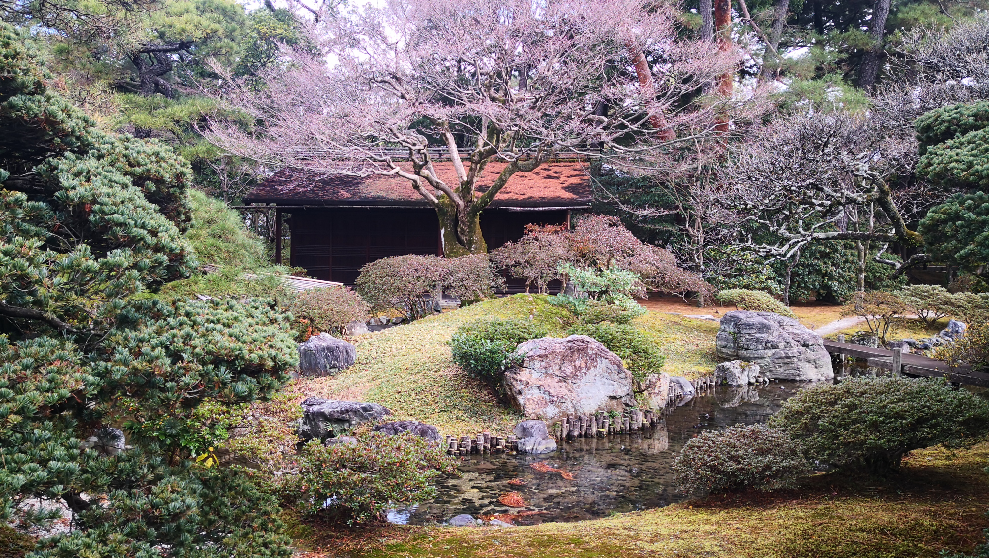 访京都名胜谈芳华变迁,探访日本京瓷