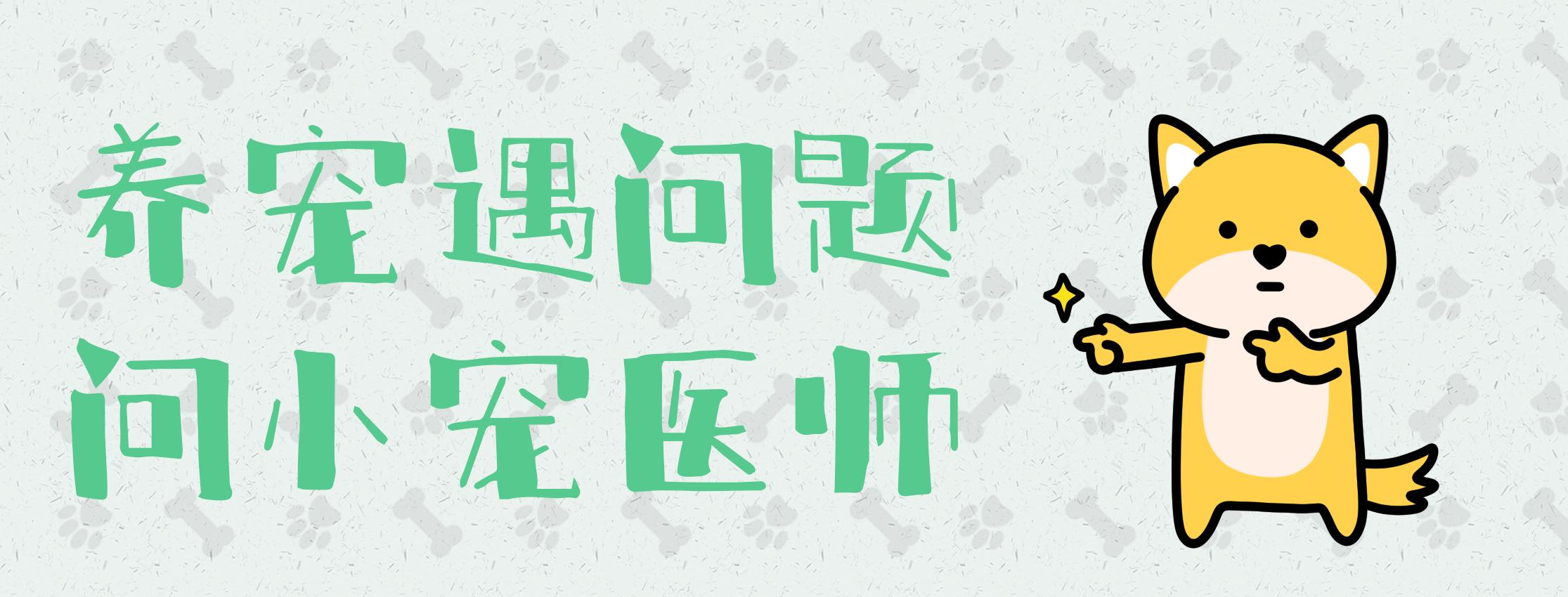 用了剪刀大法找东西但是没找到,用了剪刀大法猫咪还是没回来