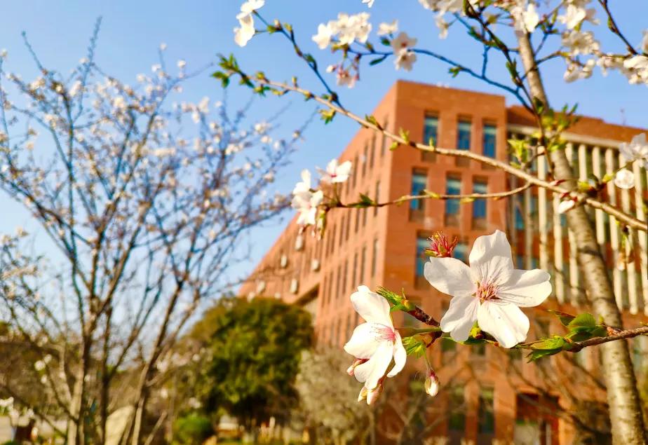 武汉外语外事职业学院可以进出吗,武汉外语外事职业学院出国