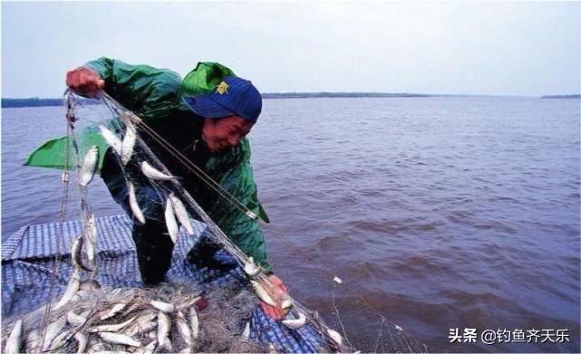 8毫米网眼一晚捞鱼1200斤！松花江要重演长江“无鱼”的悲剧？