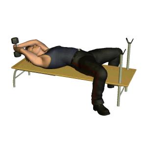 如何快速练大手臂肌肉,如何练手臂肌肉才能有力