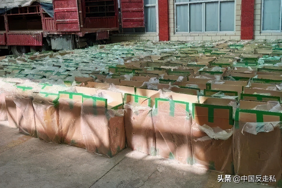 国门利剑打击汽车走私,2023年海关打私十大典型案例