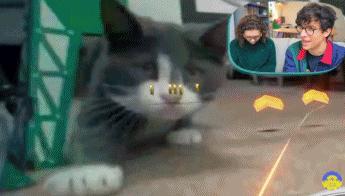 任天堂都出什么游戏了,任天堂里的游戏