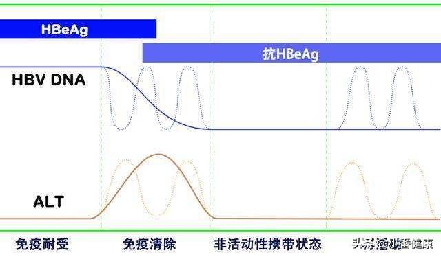 乙肝大三阳传染途径及防治方法,乙肝大三阳需要注意哪些问题