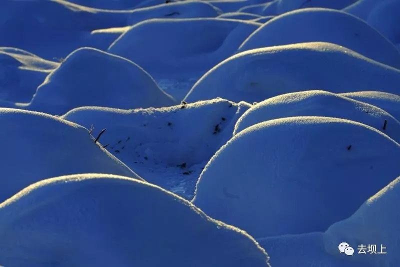 坝上摄影攻略,坝上夏季摄影