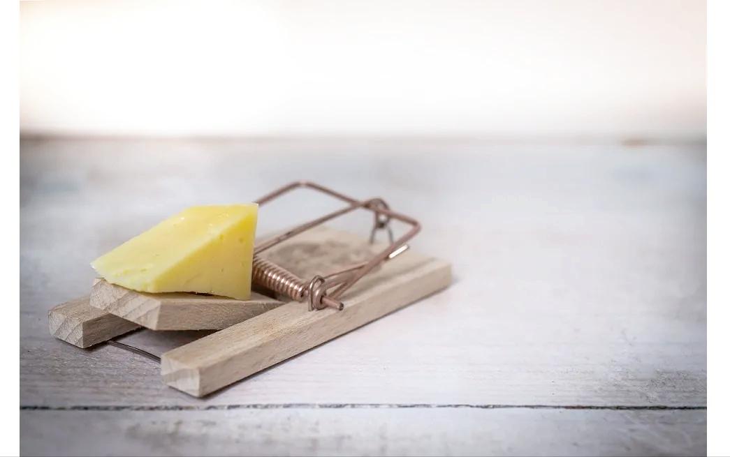 证券公司为什么待遇那么高,证券公司普通人工资