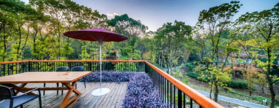 苏州网红ins风民宿大赏,苏州古镇田园风景民宿