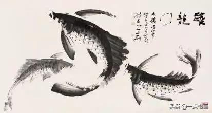 池中之仙，惊艳若此——锦鲤